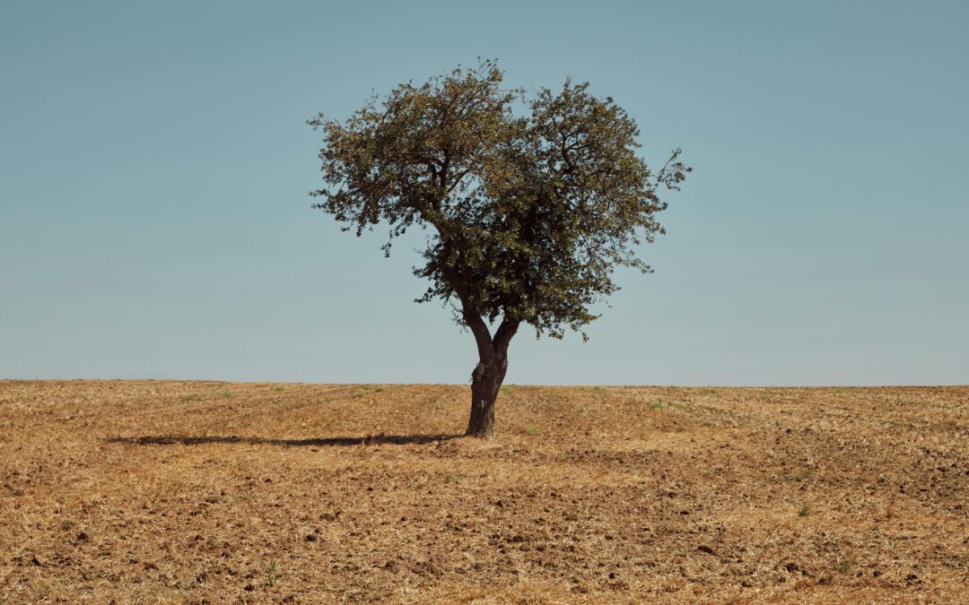 Breaking Free From Ancestral Trauma Without Rejecting Your Story